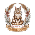 Owned by Maine Coon